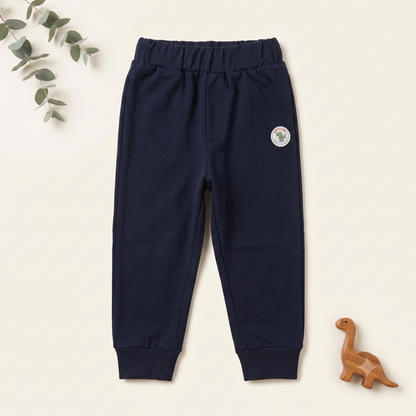 Dino Explorer Striped Pullover & Jogger Set